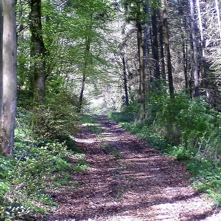 Lägenhet Landferien Eifel *
