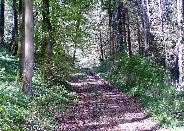 דירה Landferien Eifel *