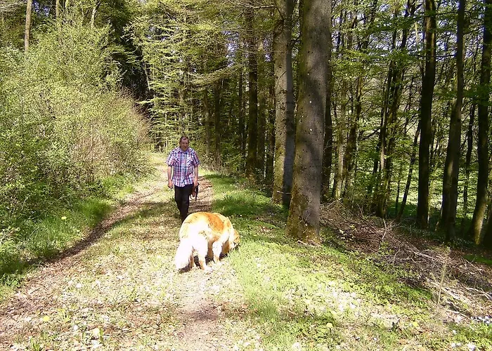 Landferien Eifel Pittenbach